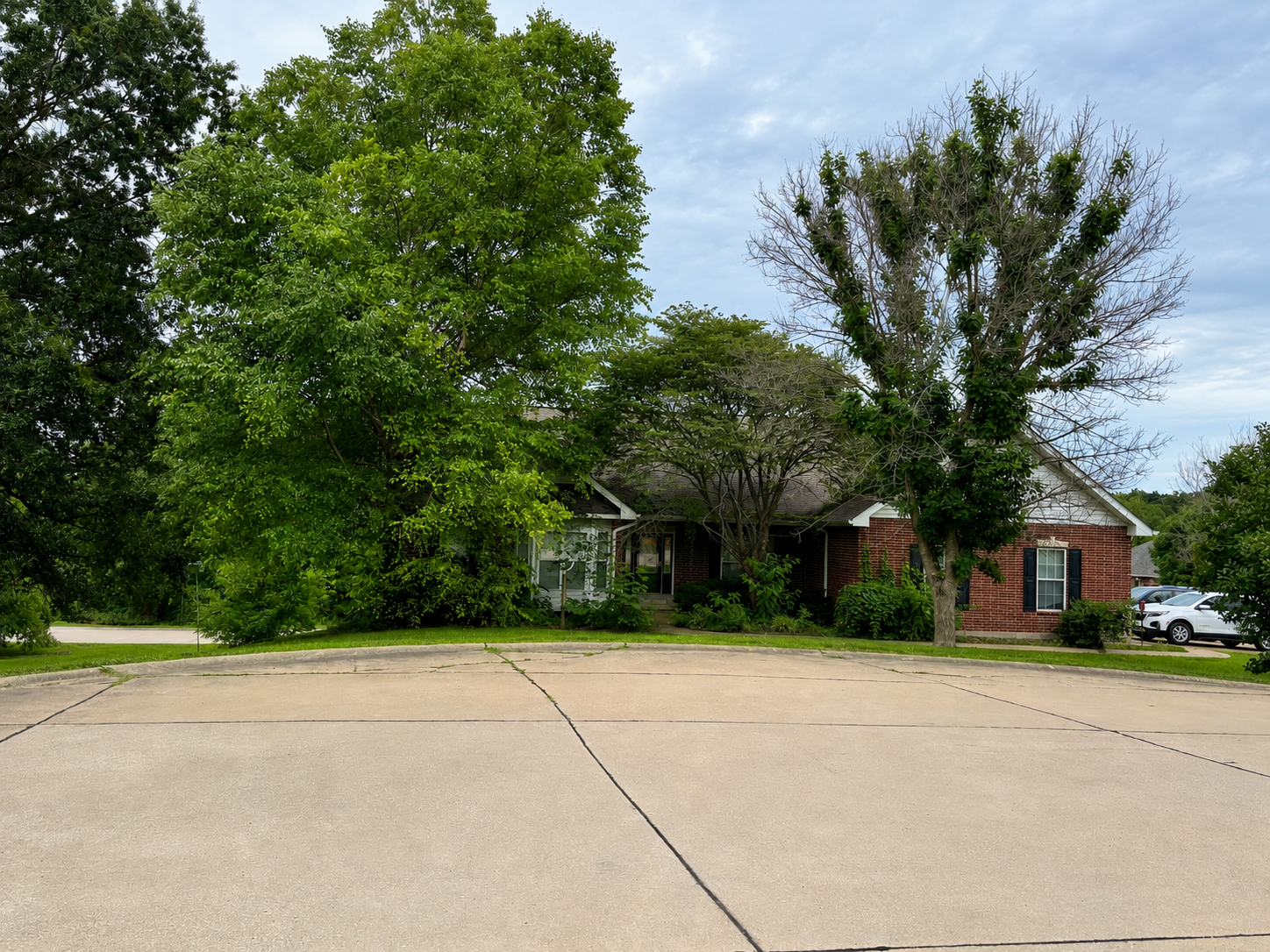 Before image of overgrown brick house
