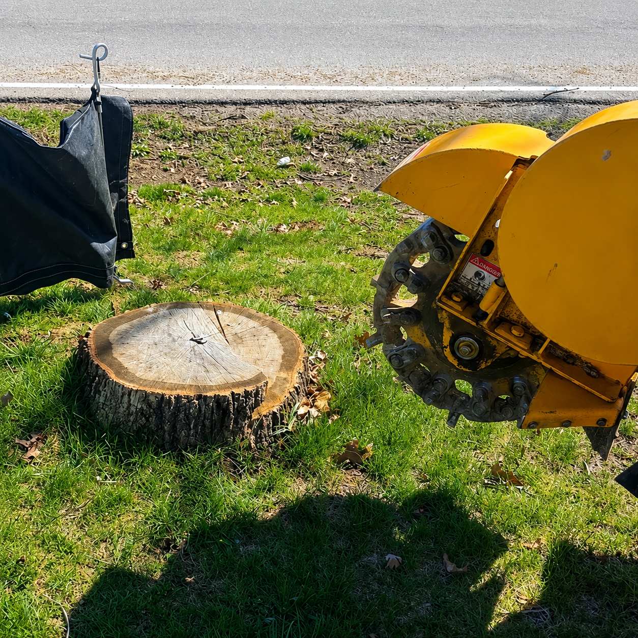 Stump grinder beside a stump