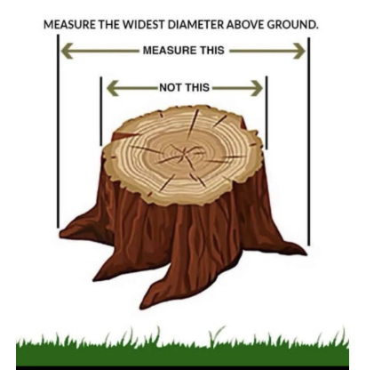 Stump measuring guide